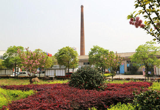 石家庄市开云手机登录入口,开云(中国)有限公司
